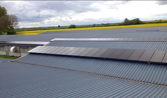 Solar panels providing electricity for a large farm in Cambridgeshire